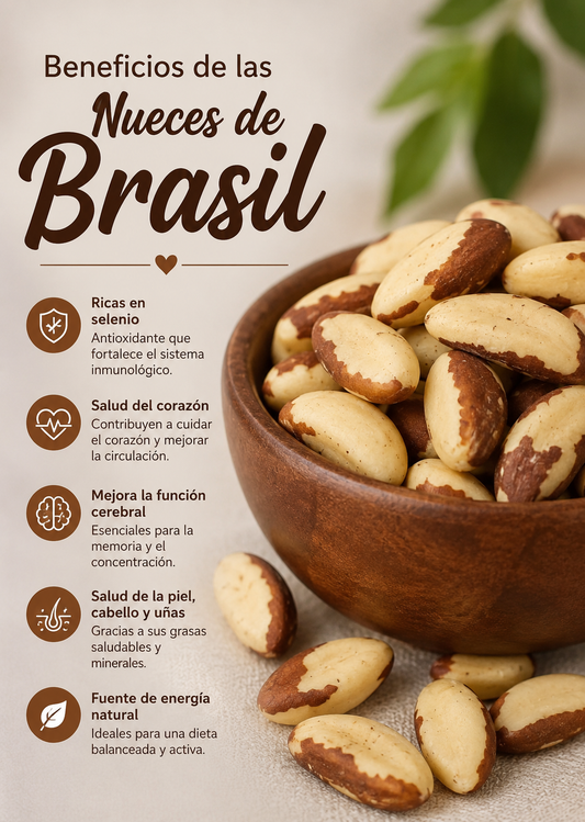 Nuez de Brasil 1 Kilo